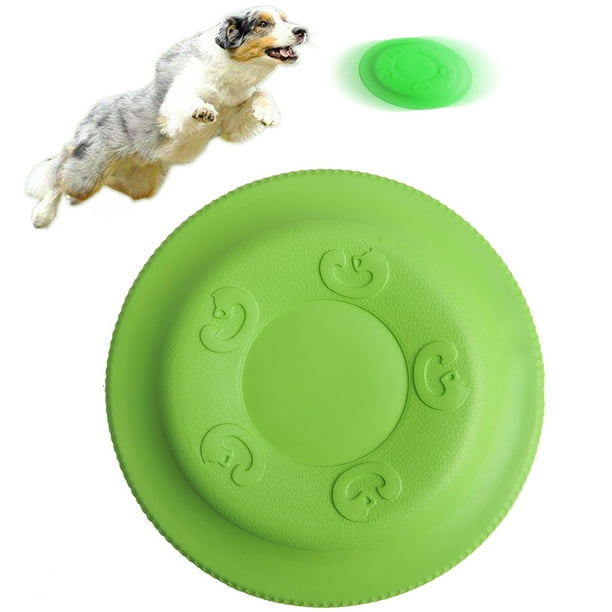 Un chien peut-il jouer au Frisbee sans danger ?
