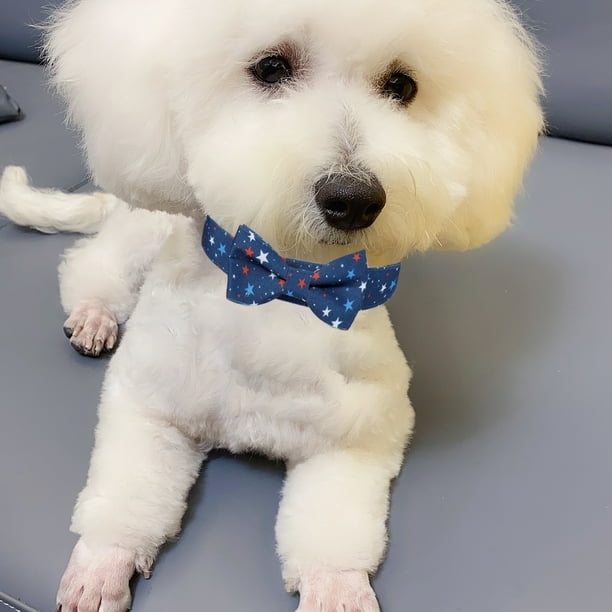 Necklace with top your dogs picture