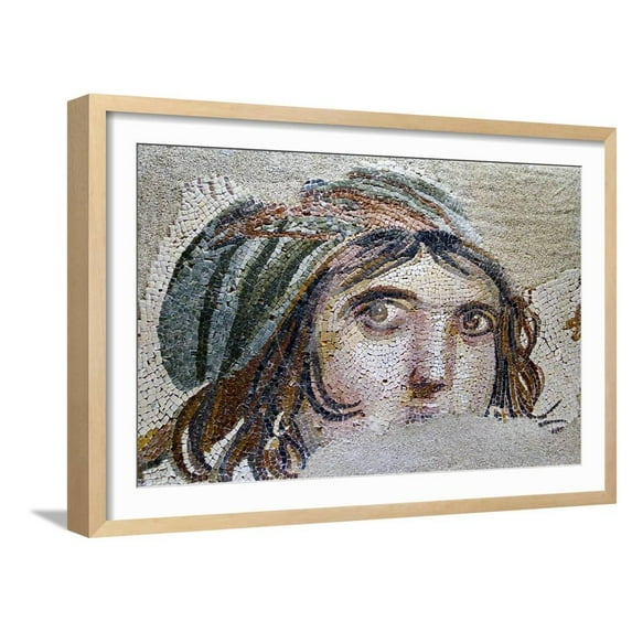Turkey, Zeugma,House of the Gypsy Girl, Mosaic, Framed Art Print Wall Art Sold by ArtCom