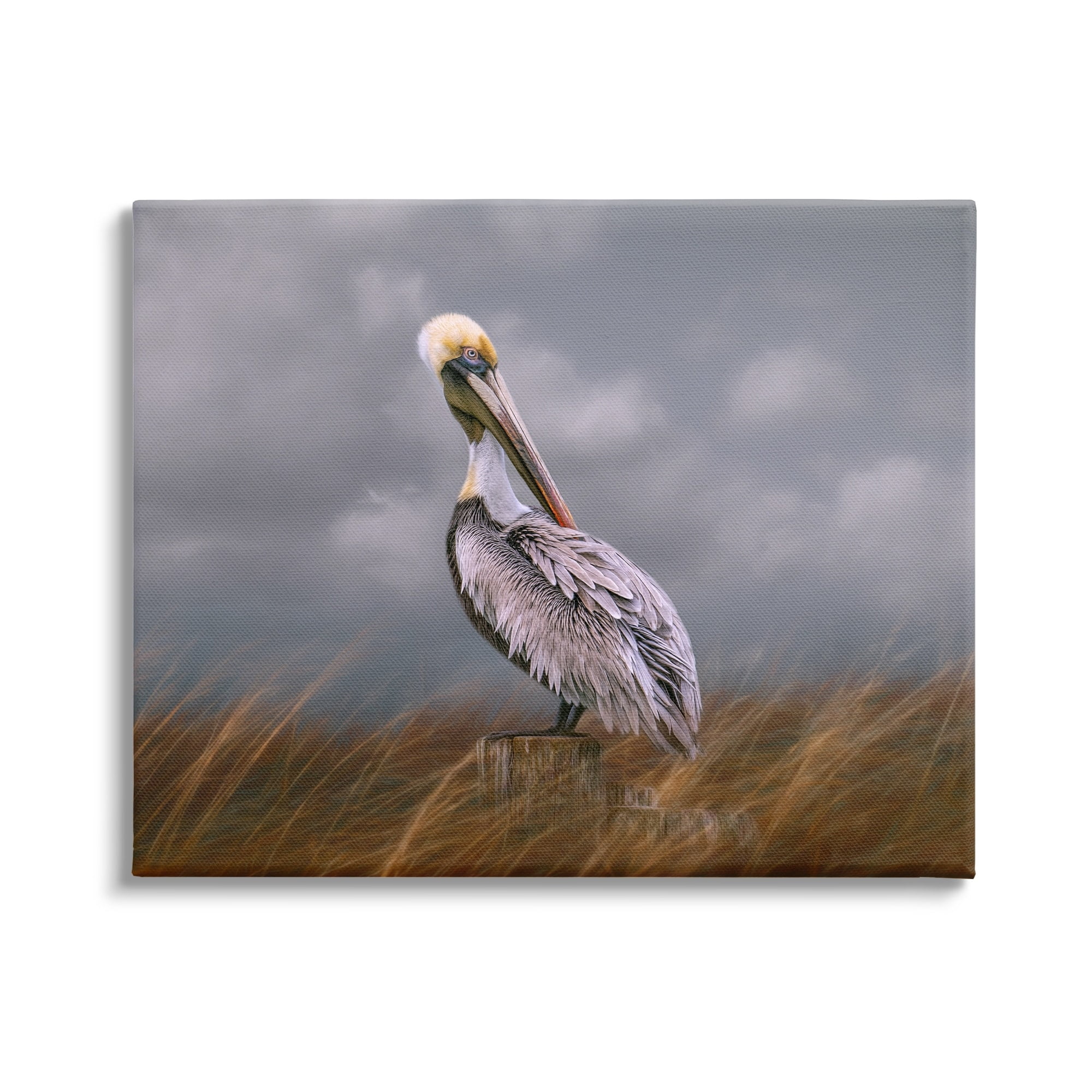 Stupell Wildlife Pelican Bird Cloudy Sky Animals & Insects Photography Gallery Wrapped Canvas Print Wall Art