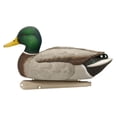thumbnail image 2 of Avian X TopFlight Fusion Floating Mallard Duck Hunting Decoys(6 Pack) (Open Box), 2 of 7