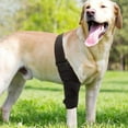 thumbnail image 3 of Dog Leg Support Brace Rear Leg Knee Brace Hip Joint Support Dog Leg Brace, 3 of 9