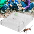 thumbnail image 4 of Feeding Box, Acrylic  Breeding Box Ants House Toy Non-  For Children, 4 of 8