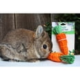 thumbnail image 4 of Exotic Nutrition Woven Grass Carrot Chew Toy, 4 of 7