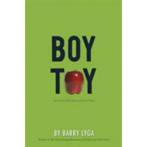 Pre-Owned Boy Toy (Paperback) 0547076347 9780547076348