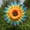 #3, variant on Sunflower Lawn Pinwheels Wind Spinners 14 Inch Colorful Flower Garden Party Pinwheel Wind Spinner Large Garden Windmill Pinwheels for Outdoor Balcony Patio Garden Yard Decoration