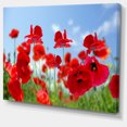 thumbnail image 2 of Close Up of Amazing Poppy Flowers - Floral Canvas Art Print, 2 of 3