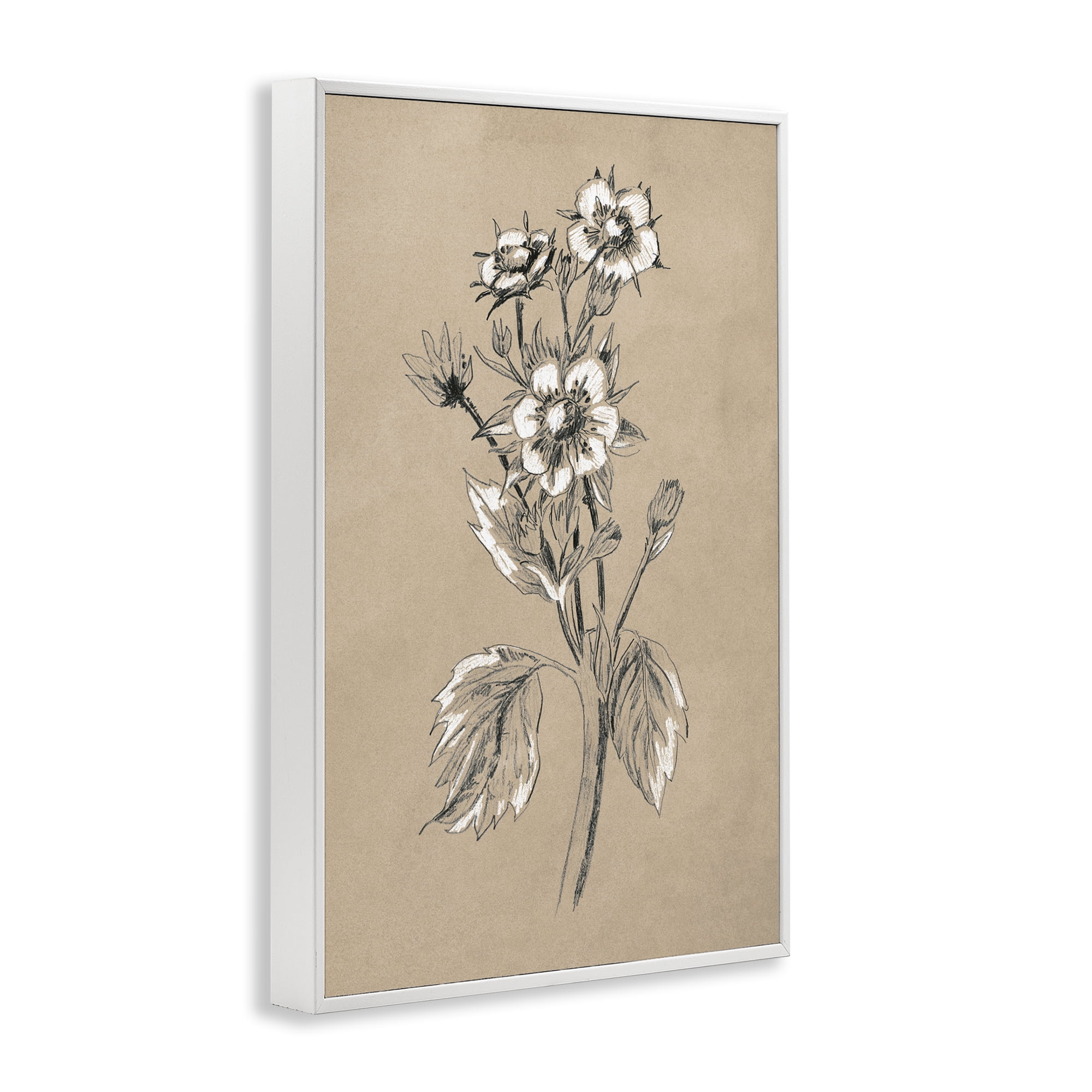 Stupell Industries Apple Blossom Drawing Botanical & Floral Drawing White Framed Art Print Wall Art, 12 x 18