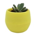 thumbnail image 2 of Flower Pot Seedling Flower Container Plastic Flower Pot Succulent Pot Mini Seedling Flower Container Plastic Flower Pot For Garden Courtyard Balcony, 2 of 2
