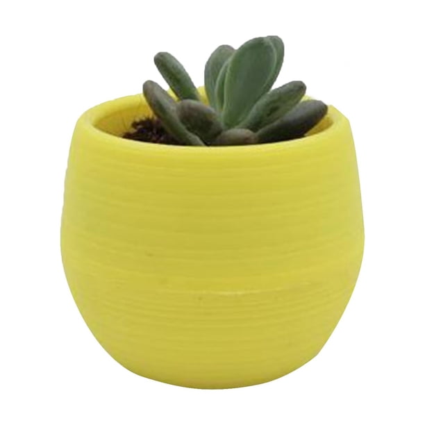 Maceta ANGGREK Suculenta Mini Contenedor de Flores de Plástico Para Jardín Patio Balcón amarillo