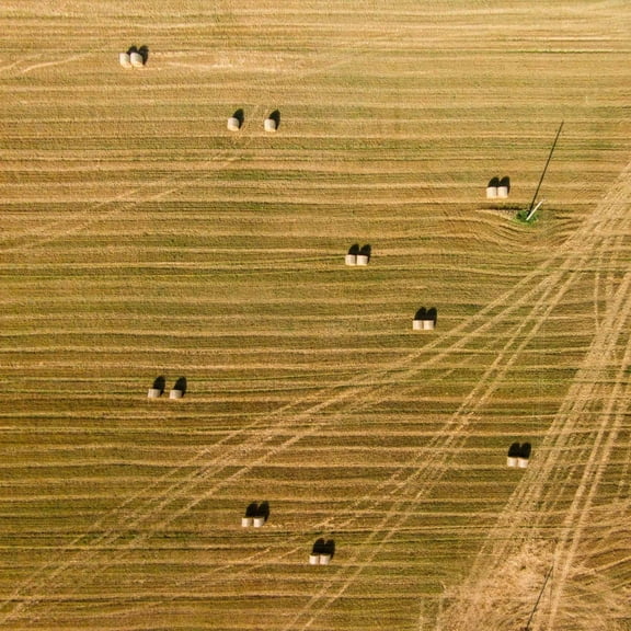 Marmont Hill "Tractor Trails" by Karolis Janulis Painting Print on Wrapped Canvas