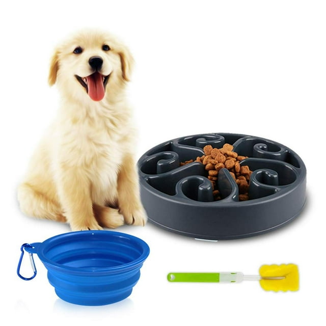 Tazón Interactivo para Perro Antideslizante No Tóxico con Fuente de Agua para Comida Lenta