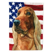 Carolines Treasures LH9541CHF Irish Setter USA Patriotic American Flag House Flag House Size multicolor