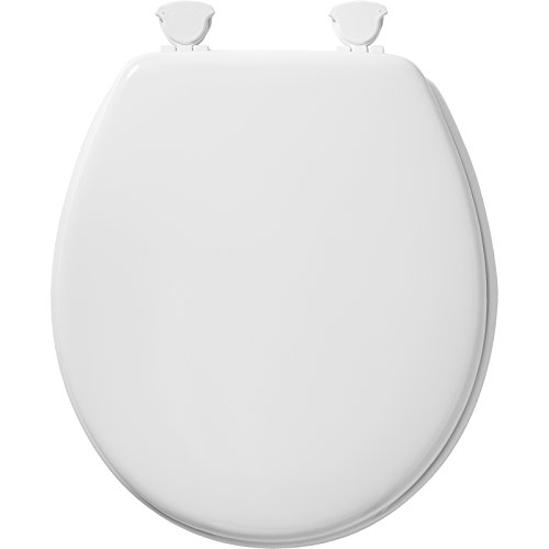 Learn about 108+ imagen mayfair easy clean toilet seat In