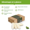 thumbnail image 2 of Sepia King – Cuttlebone for Birds, Tortoises, Snails, Reptiles – Premium Cuttlefish Bones 100% Natural, 2 of 5