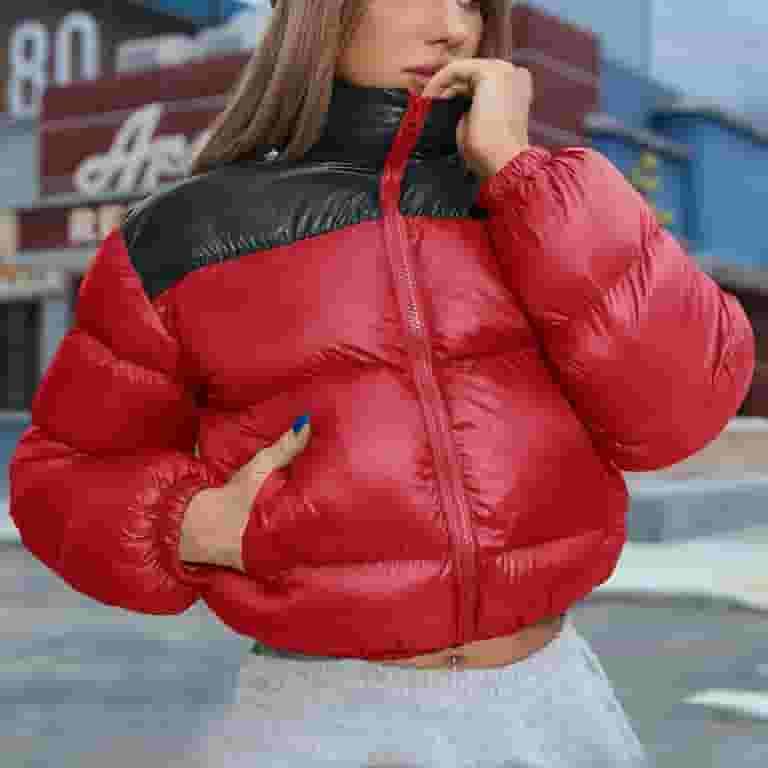 人気カラーの Cropped Womens ShomPort Puffer Color Collar Stand Jackets Clothing