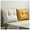 Orange, variant on Back cushion bed sofa reading cushion sofa back cushion bed back support cushion bed wedge cushion large sofa cushion pillow removable adjustable