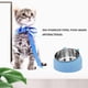 thumbnail image 4 of Cuencos para gatos de acero inoxidable, cuenco inclinado para perros y gatos, cuenco alimentador de agua extraíble, antideslizante y antiderrames para perros pequeños, medianos y grandes Adepaton 220367-3, 4 of 7