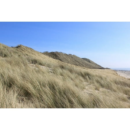 Blue Water Netherlands - LAMINATED POSTER Coast Dunes Netherlands Water Summer Blue Sky Poster Print 24 x 36