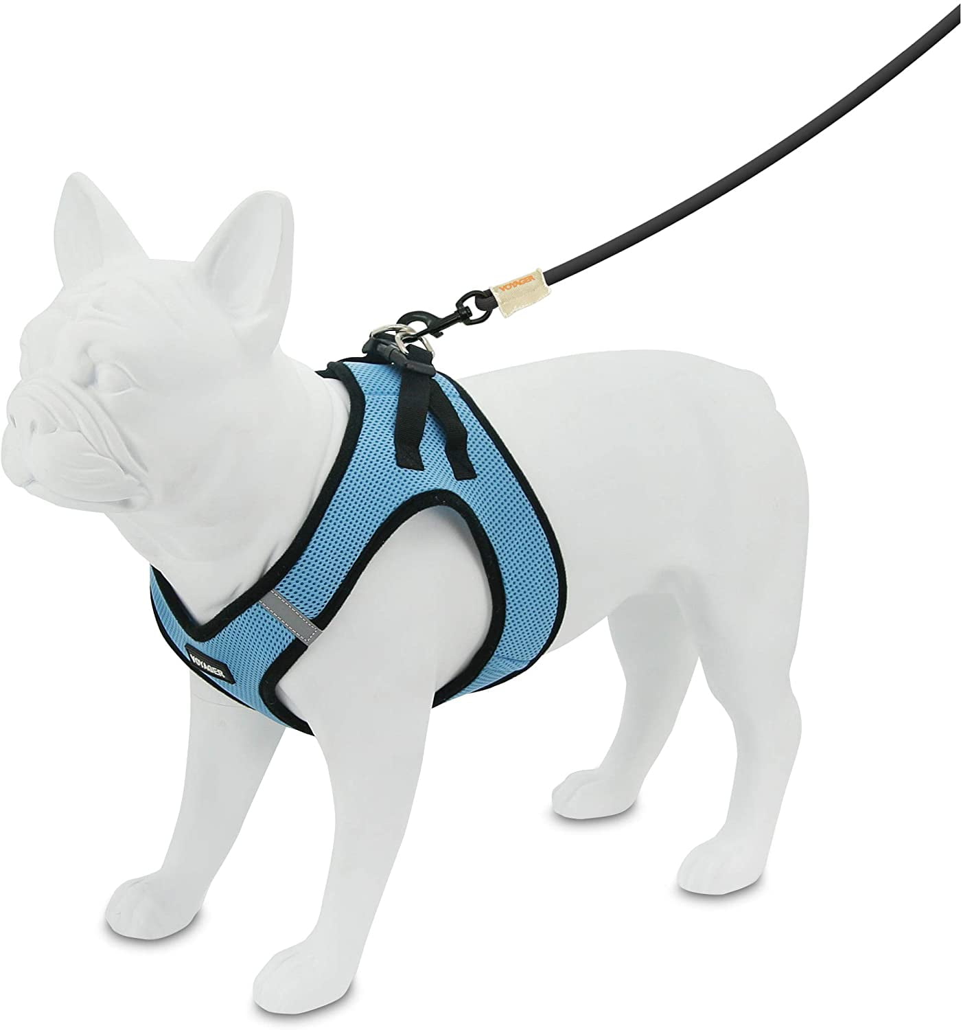 voyager leash