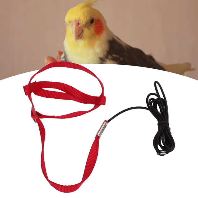 Bird Leash, Bite 8 Shaped Strap Portable Lightweight Flying Training Rope For Walking For Attending Party