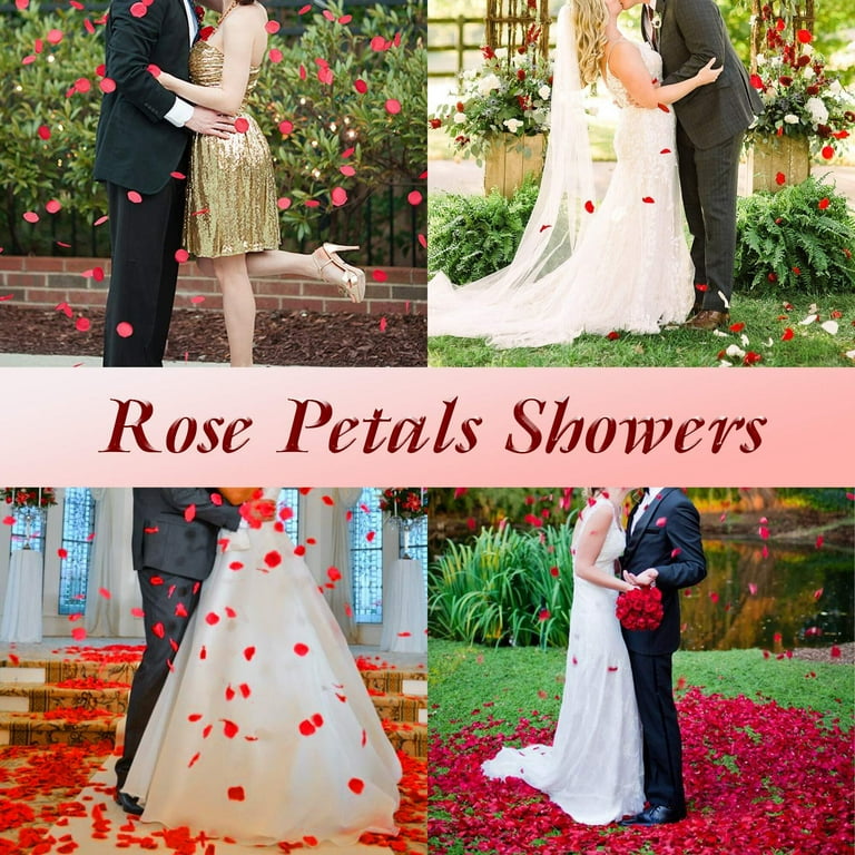 clberni 3000 Pcs Rose Petals Artificial Flower Petals Silk Rose Petals Decorations for Valentines,Wedding,Romantic Night,Party, Size: 6.85 x 3.35 x 1.93, Pink