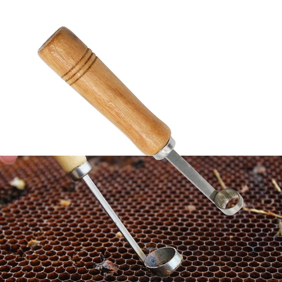 No-graft Queen Rearing Kit Comb Foundation Cutter For Queen Bee Rearing