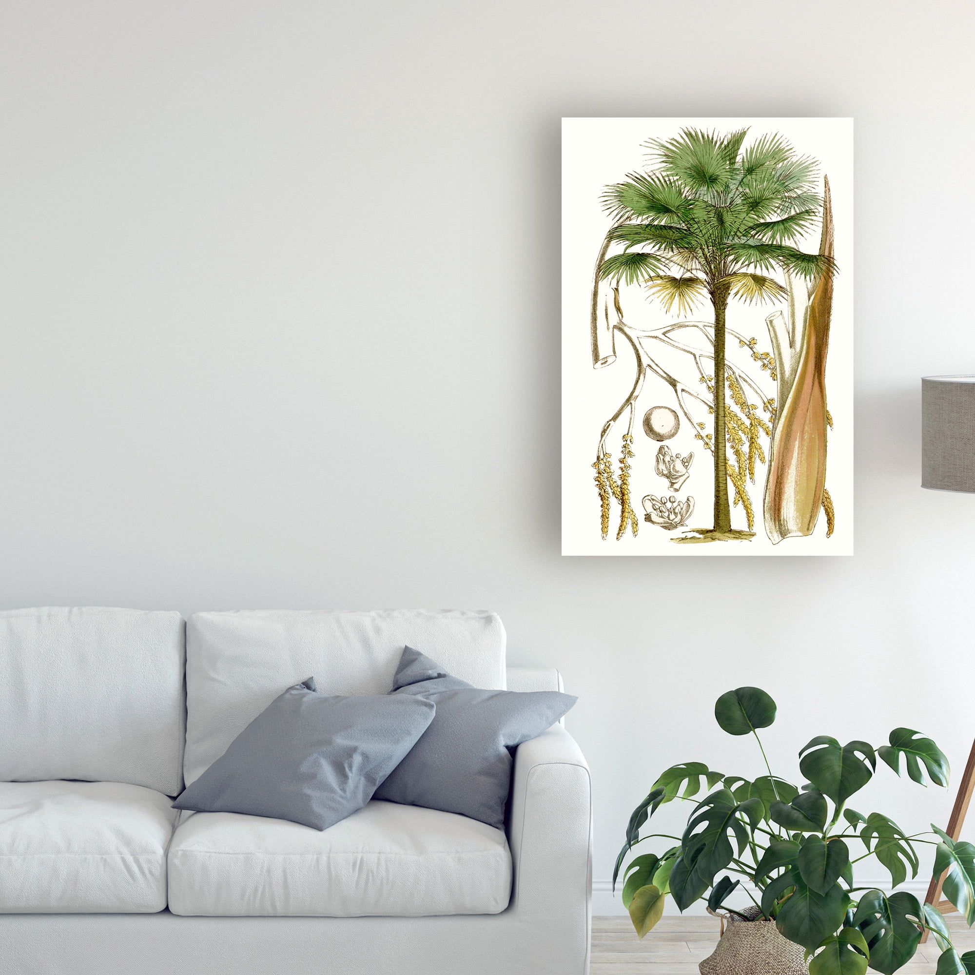 Trademark Fine Art 'Curtis Palms I' Canvas Art by Curtis
