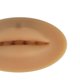 thumbnail image 4 of 2x Labios De Práctica De Tatuaje Suave Para Suministros De Tatuaje Artistas De Tatuaje Principiantes SM SunniMix Labios Práctica Silicona, 4 of 8