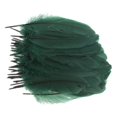 thumbnail image 2 of Plumas de bricolaje Colcomx para manualidades 50 piezas verde, 2 of 4