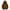 B-Brown, variant on Atogsazn Children's Girls Oversized Hoodies Kids Fleece Long Sleeve Hooded Sweatshirts Fall Winter Athletic Clothes B-Green 13-14 Years on Clearance