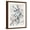 Brown Frame, variant on Art.com Indigo Bloom IV Art Print by John Butler, 12" x 16"