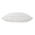 thumbnail image 2 of Sealy Medium Support Bed Pillow, Jumbo- Cotton Cover, Back Sleeper, 2 Count, 2 of 5