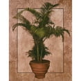 thumbnail image 3 of Unknown 20x24 Black Modern Framed Museum Art Print Titled - Potted Palm II, 3 of 5