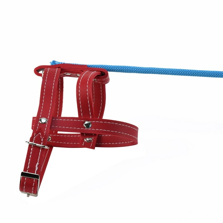 Novelty Invisible Dog Practical Joke Pet Leash Prank Harness Stage Prop Gag Gift Novelty Invisible Dog Practical Joke Pet Leash Prank Harness Stage Prop Gag Gift