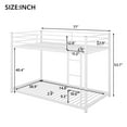 Euroco Metal Twin over Twin Size Bunk Bed, Low Profile Bunk with Ladder