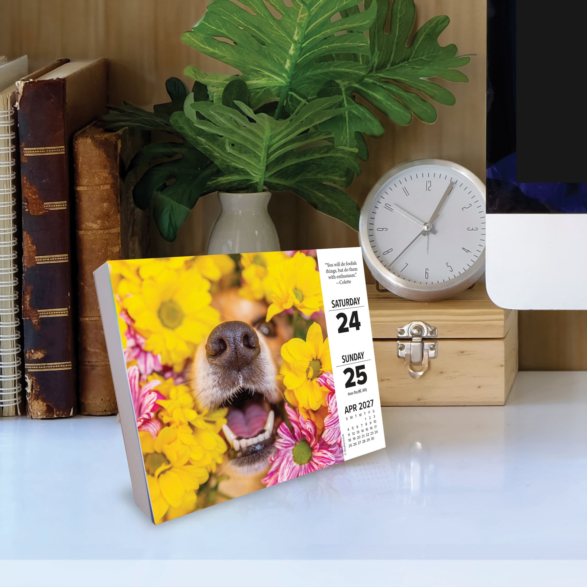 Willow Creek Press, What Dogs Teach Us 2027 Box Calendar