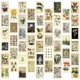 thumbnail image 1 of Vintage Aesthetic Wall Collage Kit - 50 Mini Botanical Collage Art Posters (4X6Inch), for Photo Wal, 1 of 5