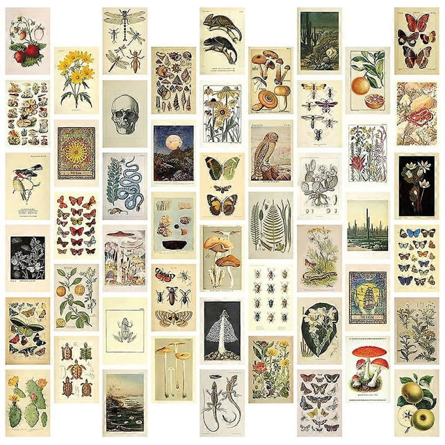 Vintage Aesthetic Wall Collage Kit - 50 Mini Botanical Collage Art Posters (4X6Inch), for Photo Wal