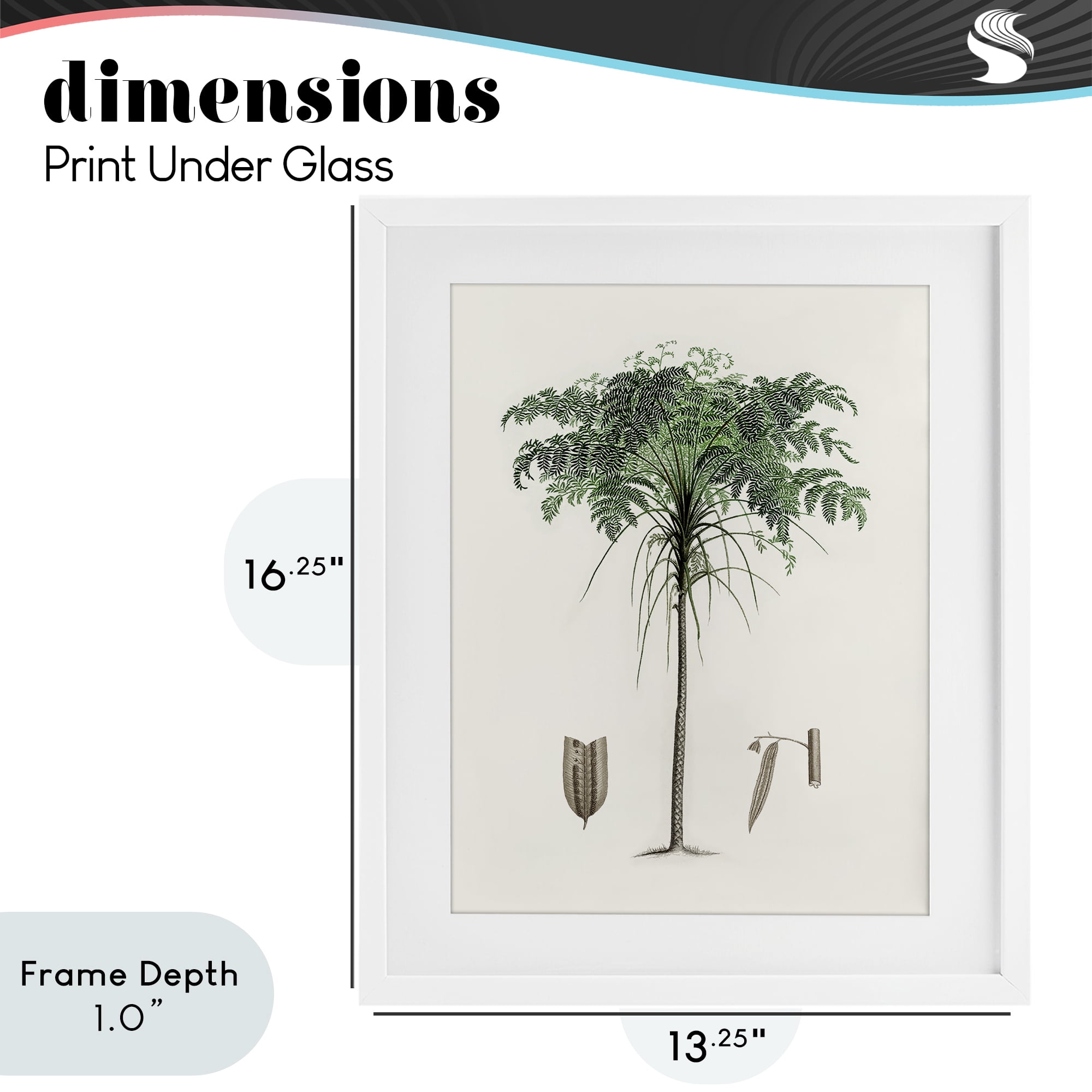 Stupell Industries Vintage Palm Leaves White Framed Print Under Glass, design by Val Rhodes