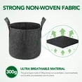 thumbnail image 3 of HOUSE DAY 12 Pack 5 Gallon Grow Bags,Non-Woven Fabric Pots,Vegetable Planter Container, Grey, 3 of 7
