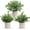 Green, variant on 3 Pack Mini Potted Fake Plants Artificial Plastic Eucalyptus Plants for Home Office Desk Farmhouse Room Decor