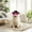 Pink, variant on Small Dog Sunglasses Goggles Eye Wear Adjustable Strap Doggy Heart Shape Fog Sun for Pet Dogs Windproof Glasses