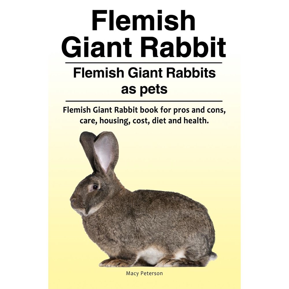 Flemish Giant Rabbit. Flemish Giant Rabbits as Pets. Flemish Giant Rabbit Book for Pros and Cons