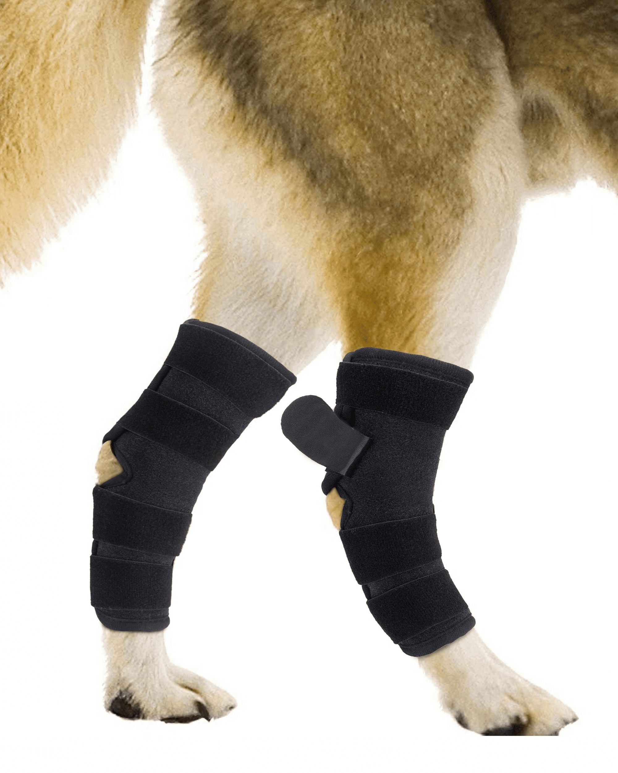 Lexvss Pair Dog Leg Brace,Rear Hind Hock Joint Compression Wrap