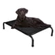 thumbnail image 1 of Funny toy Cama Elevada para Perros (122x70x21 cm) - Cama Silenciosa Antimordidas con Estructura Metálica, Malla Transpirable Lavable y Base Antideslizante (XL), 1 of 7
