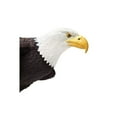 thumbnail image 3 of Safari Ltd. Bald Eagle Figurine - Lifelike 7" Model Figure - Educational Toy for Boys, Girls, and Kids Ages 18 months+, 3 of 6