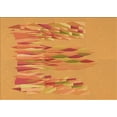 thumbnail image 1 of Ahgly Company Indoor Rectangle Patterned Neon Orange Area Rugs, 5' x 7', 1 of 1