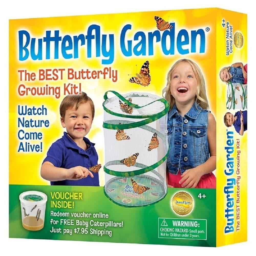 Insect Lore Butterfly Growing Kit With Voucher to Redeem Caterpillars