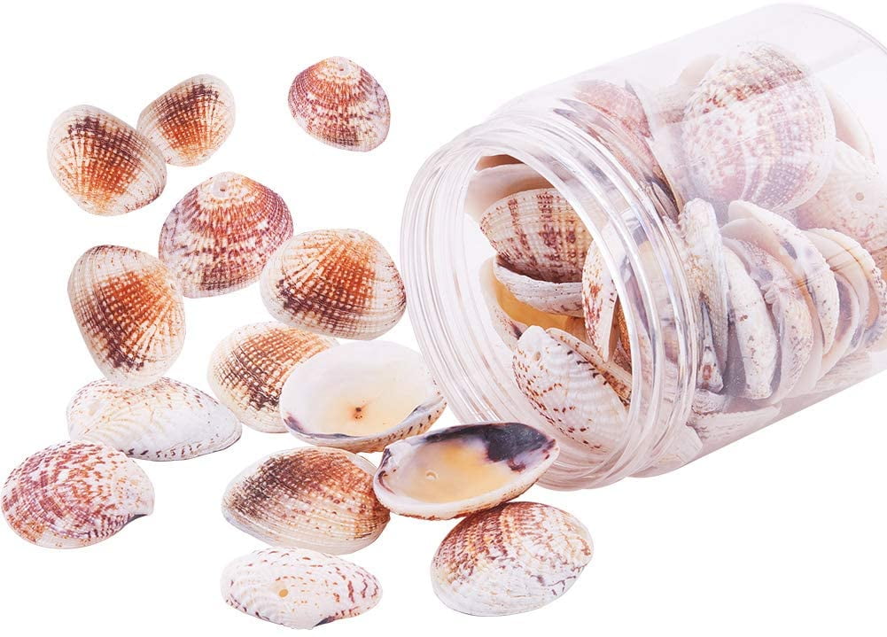 Netural Shells Drilled Crafts Seashells Beads Lovely Decor Jewelry Accessories 